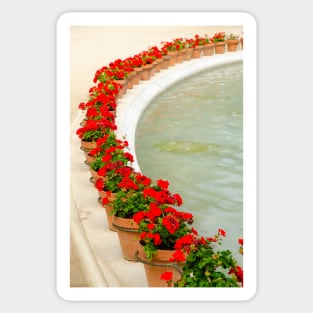 Geraniums Arranged in an Arc Sticker